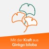 Ginkobil ratiopharm 40 mg Film-Coated Tablets Strengthen Memory and Concentration