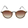 Contacta Dakar Sun Demi Lens Brown - Sunglasses with Polarised