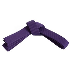 Mastery Leadership (purple belt, 1)
