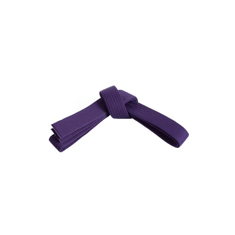 Mastery Leadership (purple belt, 1)