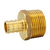 EFIELD Pex 1/2" x 3/4" NPT Adapter Brass Crimp Fittings