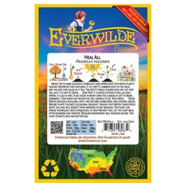 Everwilde Farms - 2000 Heal All Native Wildflower Seeds - Gold Vault Jumbo Seed Packet