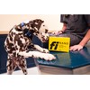 Fi Nano Microchip for Dogs - 20-Pack - Free Lifetime