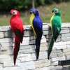 ZYWUOY Simulation Parrot, Artificial Fake Parrot Lifelike Feathered Bird Imitation