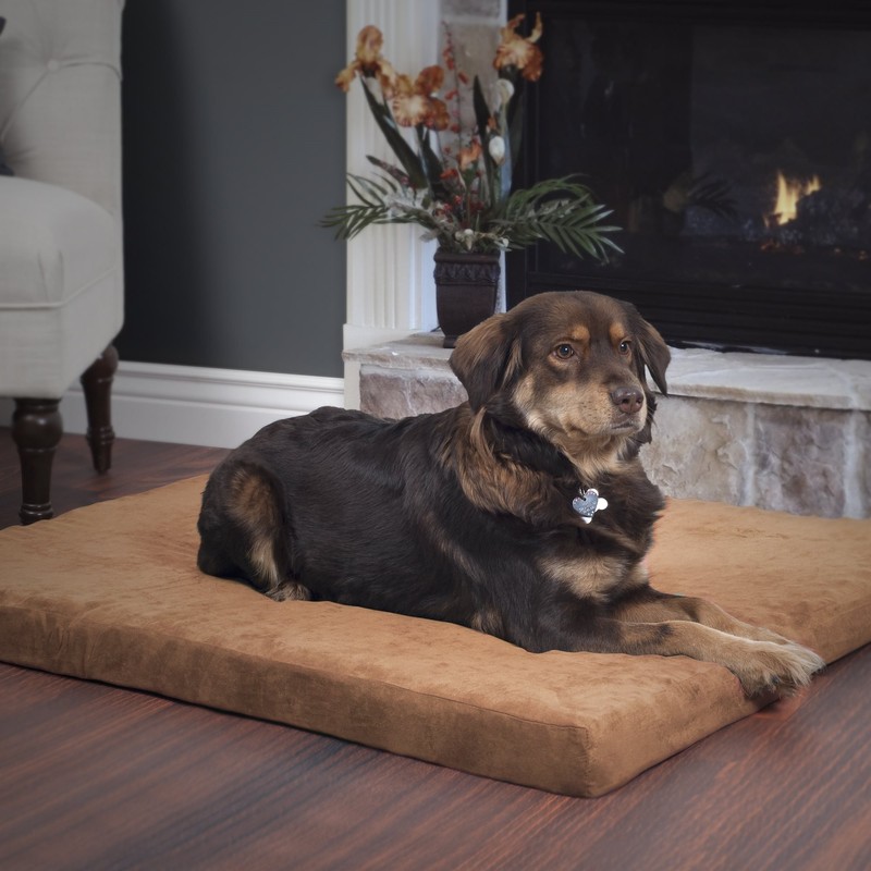 PETMAKER Orthopedic Super Foam Pet Bed Collection