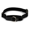 PetSafe Martingale Dog Collar with Quick Snap Buckle