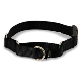 PetSafe Martingale Dog Collar with Quick Snap Buckle