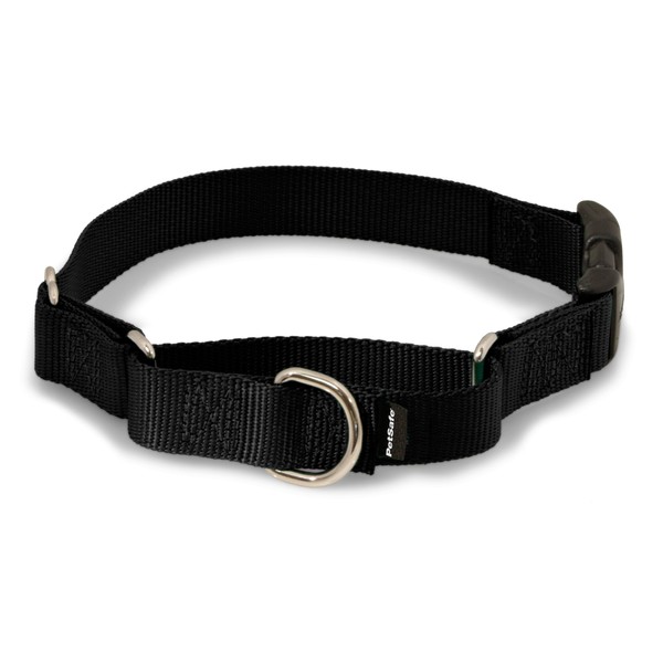PetSafe Martingale Dog Collar with Quick Snap Buckle