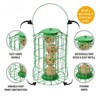 Foglish Home & Garden Squirrel-Proof Suet Fat Ball Bird Feeder,