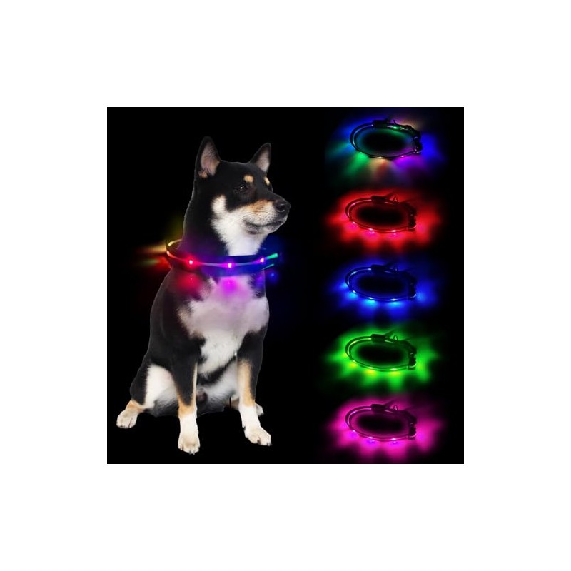 (2025 Model Advance Release) Glowing Collar, Dog Walking Light, (5
