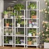 TUTOTAK Bookshelf, 6-Tier Tall Book Shelf, Narrow Bookcase for Small