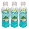 3 Pzs Clorofila Con Matcha 500 Ml Vidanat