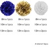 We Moment Zone Set of 12 Paper Pompoms Set, Blue