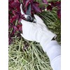 Spear & Jackson LHLGLOVESKEW Kew Gardens Collection Lined Leather Gloves
