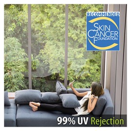 BDF S2M Window Film Clear UV Blocking (48in X 12ft)
