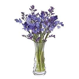 Wibble Small Vase