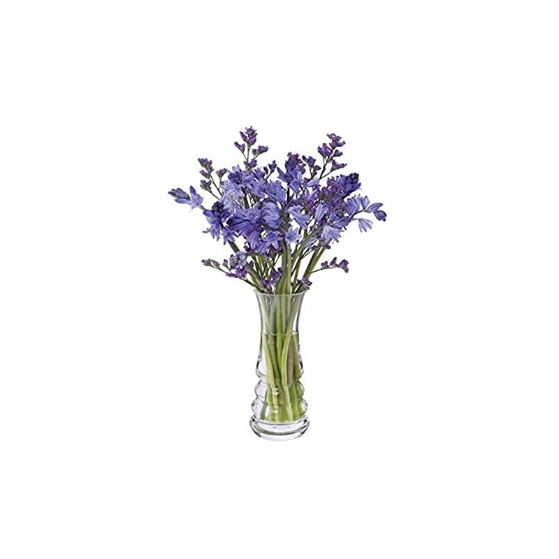 Wibble Small Vase