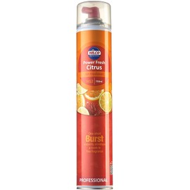 Nilco Professional H12 Power Fresh Smoke Away Odour Neutraliser, Hint of Mint, 750 ml