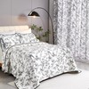 EVENHUG 100% Cotton Quilt Twin Size Black Bird Bedding Set