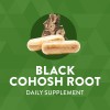 Natures Way Black Cohosh Root 180caps
