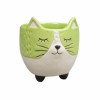 lotus international 3" Green Cat Planter