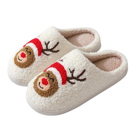 YAQUEKOU Slippers Women's Winter Men's Slippers Plush Slippers Cartoon Slippers Teenager Girls Cuddly Warm Slippers, E