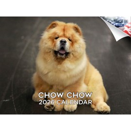 2025 2026 Chow Chow Calendar - Dog Breed Monthly Wall Calendar - 12 x 18 Open - Thick No-Bleed Paper - Giftable - Academic Teacher's Planner Calendar Organizing & Planning - Made in USA