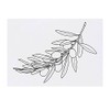'Olive Branch' Temporary Tattoo - Water Resistant, Skin-Safe, Non-Toxic Transfer