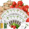 LYKOCLEAN Hydroponic Seed Pod Kit Compatible with AeroGarden, Ahopegarden, iDoo,