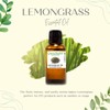 GreenHealth - Lemongrass Essential Oil - 16 fl oz -