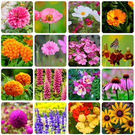10000+ Perennial Mix Wildflower Seeds 16 Assorted of Heirloom Flower -1oz Zinnia Poppy Crimson Clover Milkweed Lupine Marigold Mexican Hat Sage Nasturtium