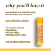 Burt's Bees Moisturizing Lip Balm for Dry Chapped Lips, Holiday