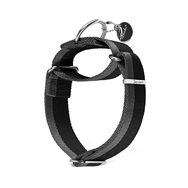 Dazzber Martingale Dog Collar, 3.8 cm Wide, 1200D, Extra Strong