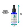 Skin Perfection Regu Scence Botanical DIY Serum Booster Antioxidant Improve