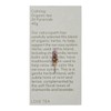 Love Tea Calming Pyramid Tea Bags, 20 Tea Bags