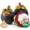 Absolute Mangosteen - Pure Organic Mangosteen Juice from CAOH® (1-32