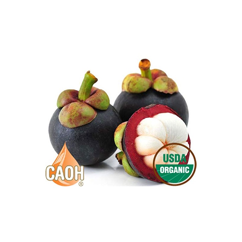 Absolute Mangosteen - Pure Organic Mangosteen Juice from CAOH® (1-32