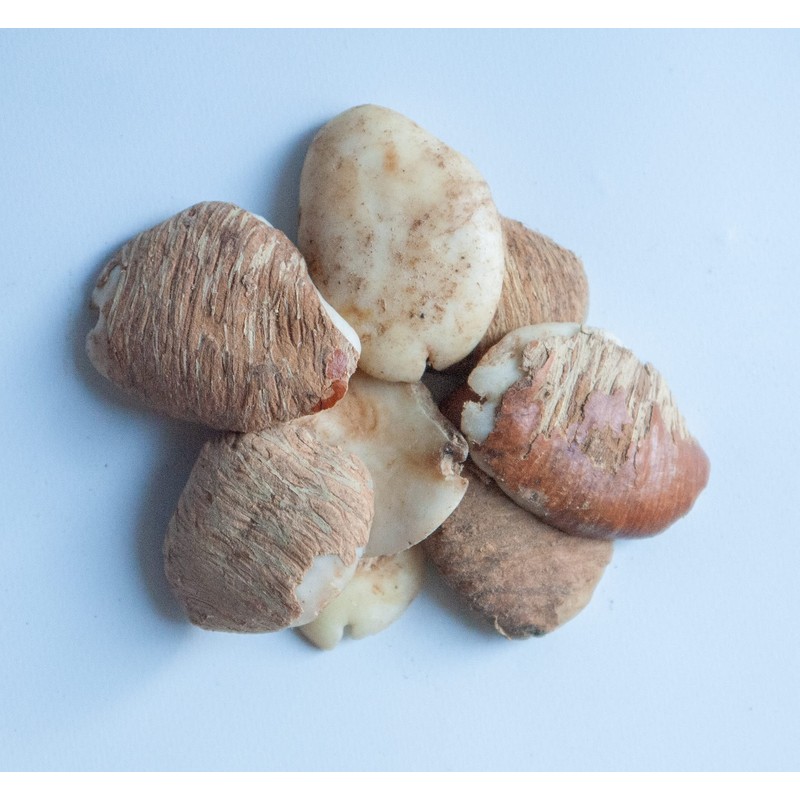 KOPABANA Ogbono seeds | African mango| bush mango| dika |