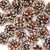 Pine Cone Christmas Tree Decorations, POTWPOT 20Pcs Snow Pine Cones Large Pine Cones with String Pine Cone for Craft Winter Holiday Hanging Ornament Home Decorations (5-6cm)