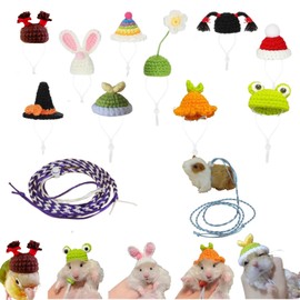 11pcs Hamster Hat, Cute Tiny Mini Hat, Hand Knitted Small Animal Hat and Hand Woven Traction Rope Set for Pets Lizards Hamsters Guinea Pig Holiday Party Costume Accessories Photo Props (11PCS)