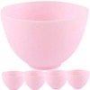minkissy 5pcs Facial Mask Bowl Mask Mixing Bowl Mask Mixing