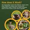 Baar Products - MolEvict Lawn Mole Castor Oil - Lawn