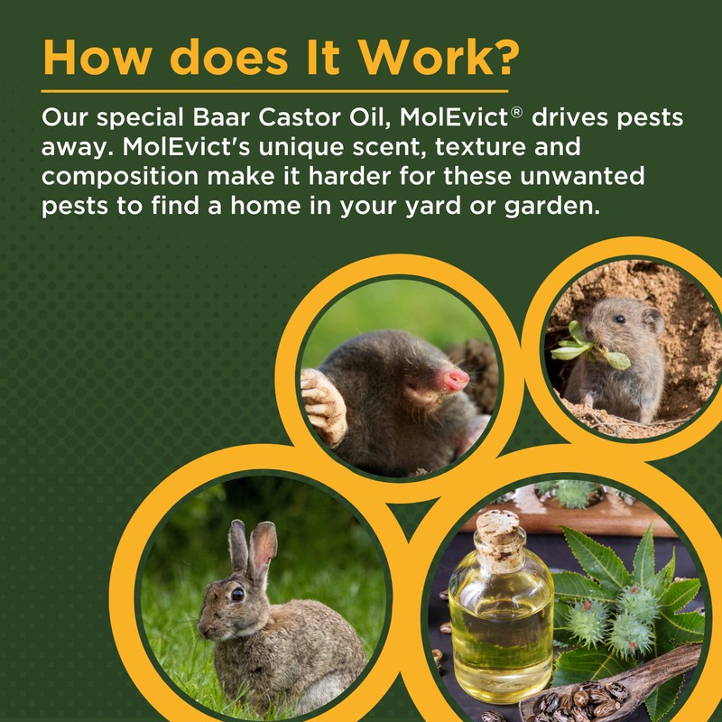 Baar Products - MolEvict Lawn Mole Castor Oil - Lawn