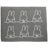 Okato Polyester Dish Drying Mat, Dish Drainer, 11.8 x 15.7