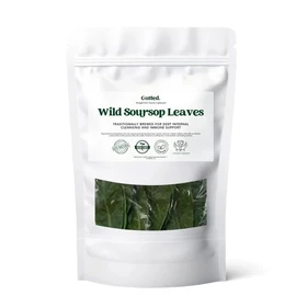 Wild Soursop Leaves – 100% Natural | Sun-Dried Herbal Tea - 100 Large Leaves- Premium Quality