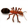 Kuscheltiere.biz Ancula Premium Plush Toy Forest Ant Decorative Toy