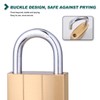 Padlock Set of 2 with 6 Keys, 38 mm Lock