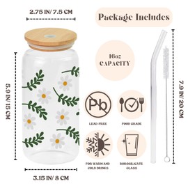 Suyka Daisy Cups, Cute Iced Coffee Cups with Lids and Straws, Daisy Glass Tumbler, Aesthetic Cups - Daisy Gifts for Women, Coffee Lovers, Mothers Day, Birthday Gifts (Leaf Daisy), Regular