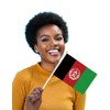 25 Packs Small Afghan Flags on Handheld Stick，Miniature Afghanistan Flag
