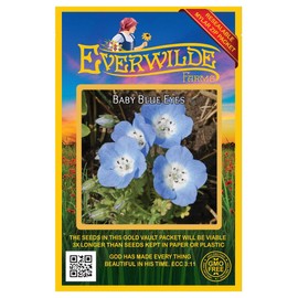 Everwilde Farms - 1000 Baby Blue Eyes Native Wildflower Seeds - Gold Vault Jumbo Seed Packet